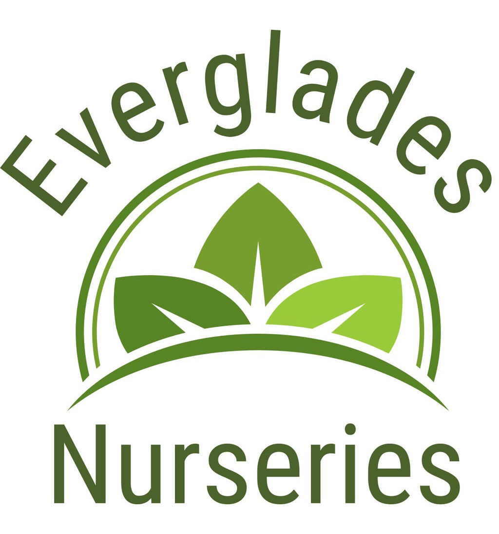 Everglades Nurseries